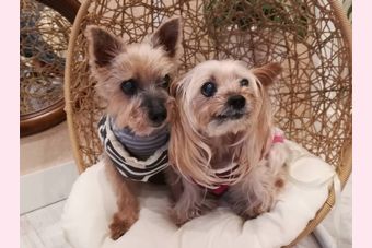 �r�уt�F���g�@�{���ʐ^